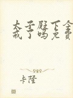 太子殿下今天破戒了吗免费阅读封面
