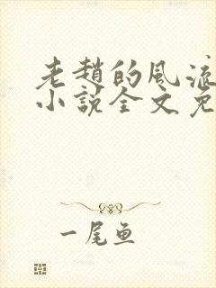 老赵的风流人生小说全文免费阅读