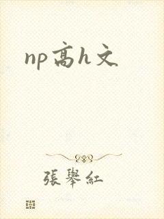 np高h文封面