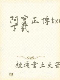 阿宾正传txt下载