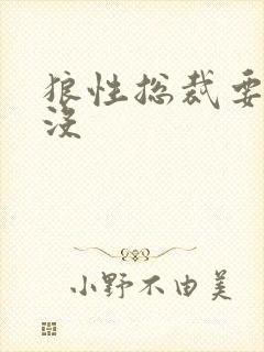 狼性总裁要够了没封面
