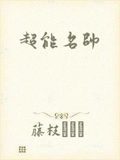 超能名帅封面