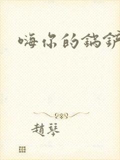嗨你的锅铲