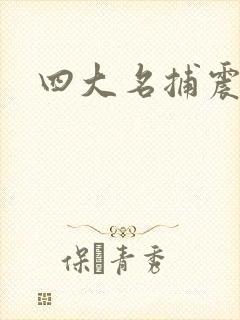四大名捕震关东