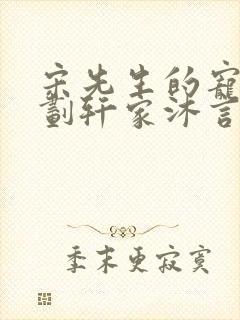 宋先生的宠妻计划轩家沐言封面