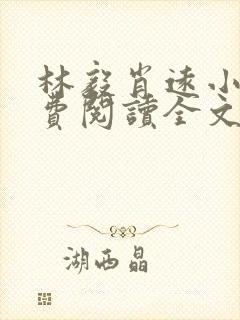 林毅肖远小说免费阅读全文最新章节封面