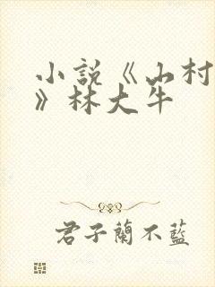小说《山村情事》林大牛封面