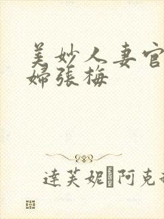 美妙人妻官场少妇张梅封面