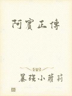 阿宾正传