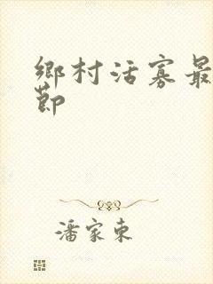 乡村活寡最新章节