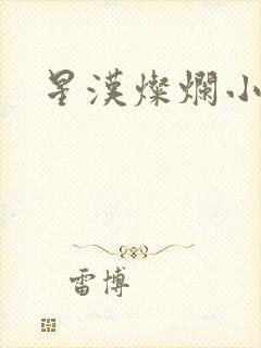 星汉灿烂小说封面