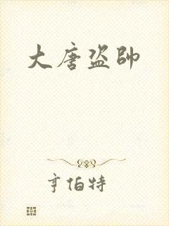 大唐盗帅封面
