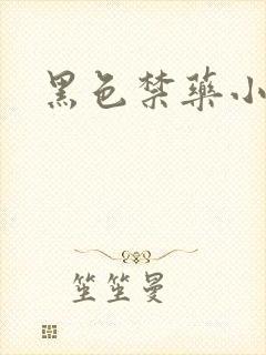 黑色禁药小说