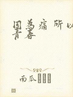 因为痛 所以叫青春