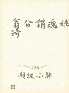 翁公销魂姚瑶琦琦