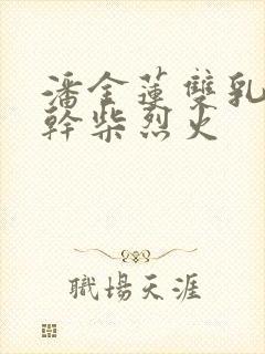 潘金莲双乳晃动干柴烈火
