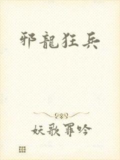 邪龙狂兵封面
