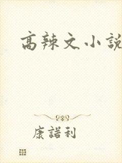 高辣文小说