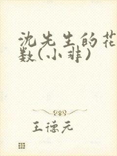 沈先生的花式调数(小非)封面