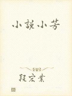 小说小芳