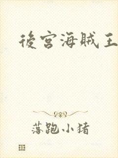 后宫海贼王封面
