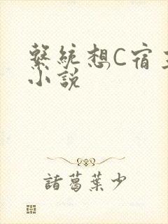 系统想C宿主的小说