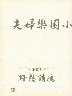 夫妇乐园小说封面