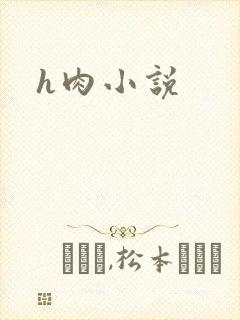 h肉小说