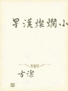 星汉灿烂小说封面