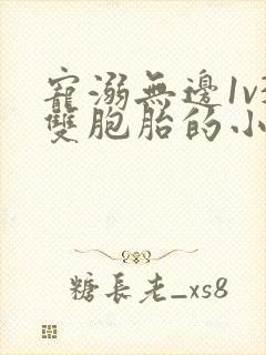 宠溺无边1v3双胞胎的小说