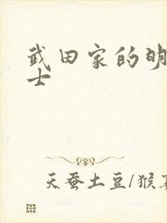 武田家的明国武士