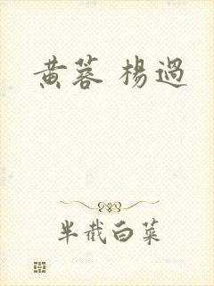 黄蓉 杨过封面