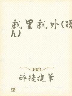 戏里戏外(现场h)