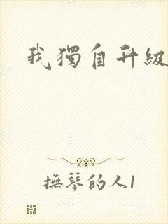 我独自升级2