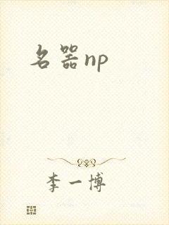 名器np封面