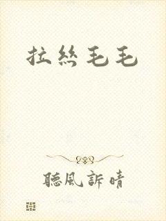 拉丝毛毛