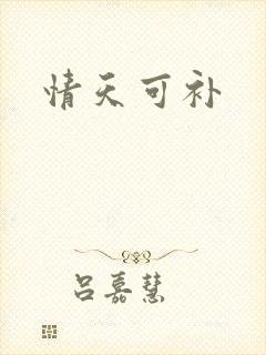 情天可补