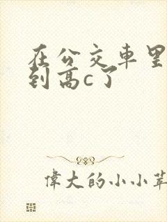 在公交车里c弄到高c了封面
