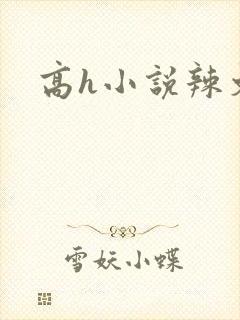 高h小说辣文