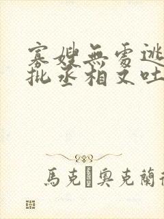 寡嫂无处逃,疯批丞相又吐血了封面