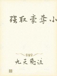 强取豪夺小说