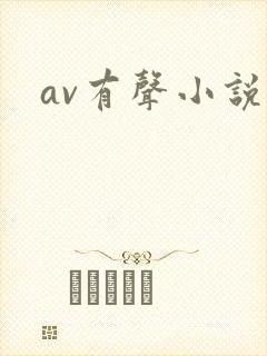 av有声小说