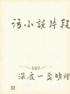污小说片段封面