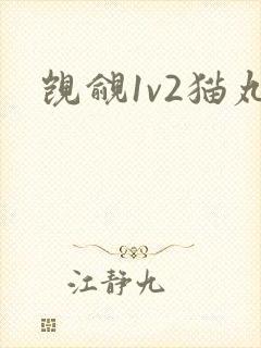 觊觎1v2猫丸封面