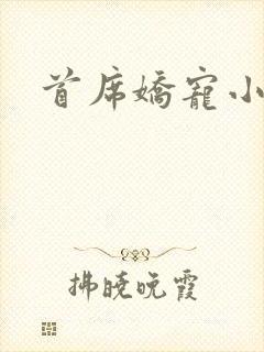 首席娇宠小情人