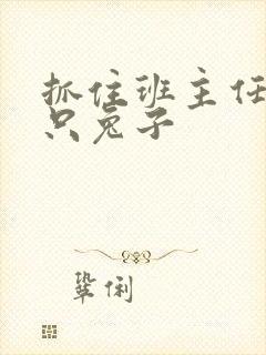 抓住班主任的两只兔子封面
