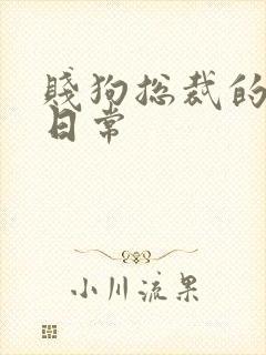 贱狗总裁的私教日常