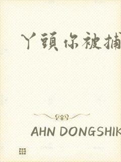 丫头你被捕了