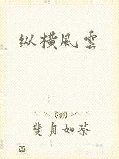 纵横风云封面
