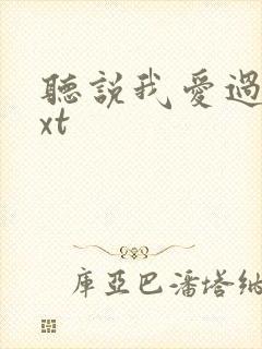 听说我爱过你txt